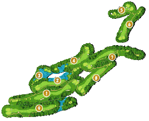 コース画像