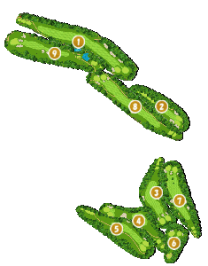 コース画像