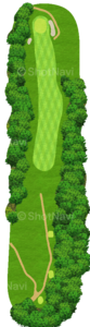 No.8のコースレイアウト