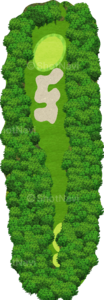 No.17のコースレイアウト