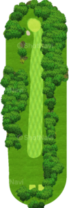 No.8のコースレイアウト