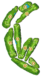 コース全体俯瞰図