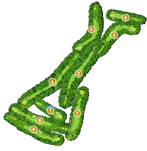 コース全体俯瞰図