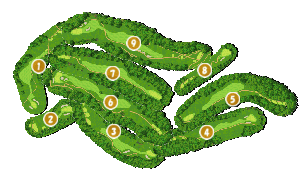 コース全体俯瞰図