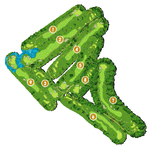 コース全体俯瞰図