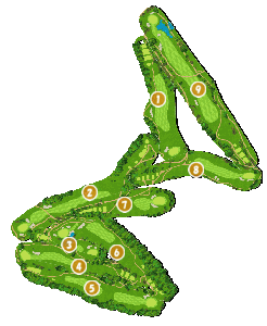 コース全体俯瞰図