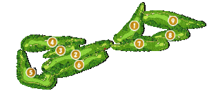 コース全体俯瞰図