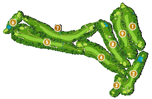 コース全体俯瞰図