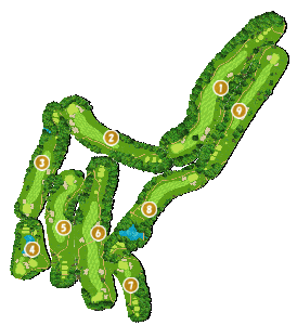 コース全体俯瞰図