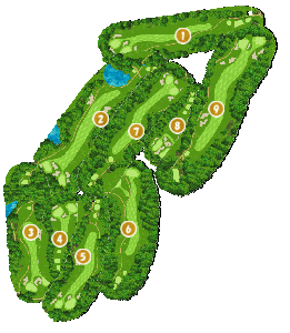 コース全体俯瞰図