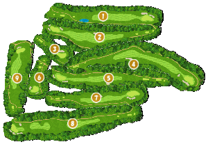 コース全体俯瞰図