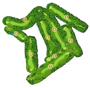 コース全体俯瞰図