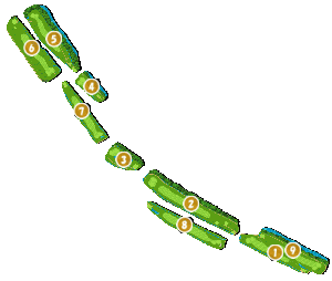 コース全体俯瞰図
