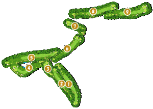 コース全体俯瞰図