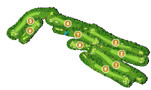 コース全体俯瞰図