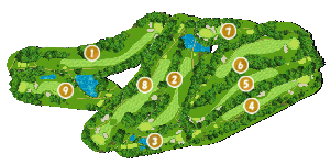 コース全体俯瞰図