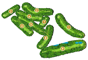 コース全体俯瞰図