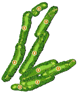 コース全体俯瞰図