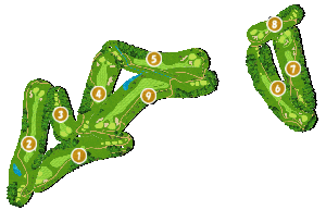 コース全体俯瞰図