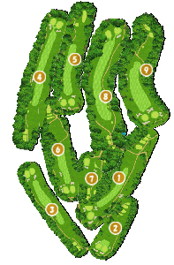 コース全体俯瞰図