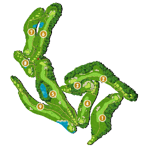 コース全体俯瞰図