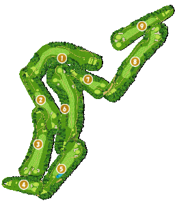 コース全体俯瞰図