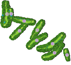 コース全体俯瞰図
