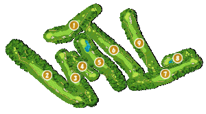 コース全体俯瞰図