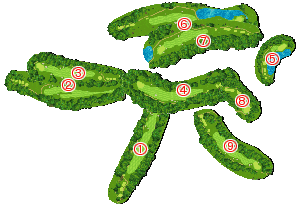 コース全体俯瞰図