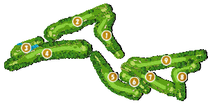 コース全体俯瞰図