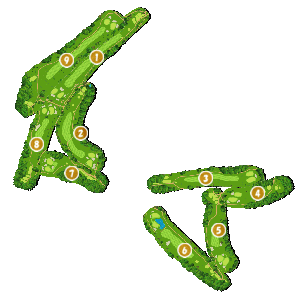 コース全体俯瞰図