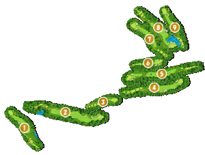 コース全体俯瞰図