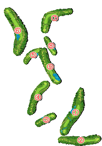 コース全体俯瞰図