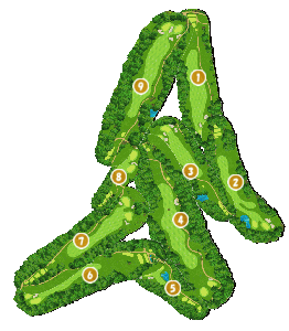 コース全体俯瞰図