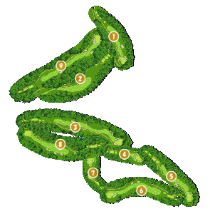 コース全体俯瞰図