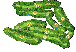 コース全体俯瞰図