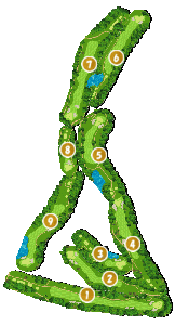 コース全体俯瞰図