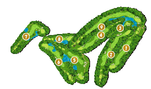 コース全体俯瞰図