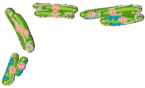 コース全体俯瞰図