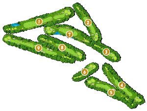 コース全体俯瞰図