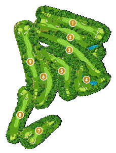 コース全体俯瞰図