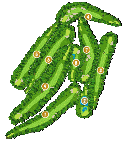 コース全体俯瞰図