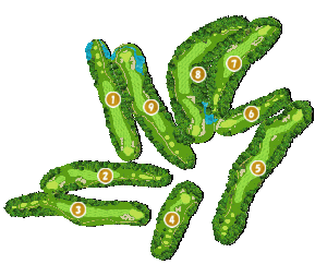 コース全体俯瞰図