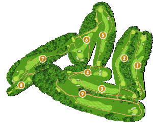 コース全体俯瞰図