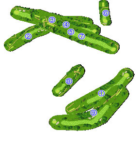 コース全体俯瞰図