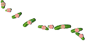 コース全体俯瞰図