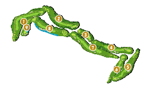 コース全体俯瞰図