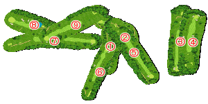 コース全体俯瞰図