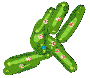 コース全体俯瞰図