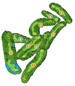 コース全体俯瞰図